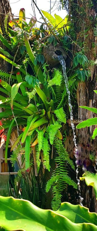 Pousada Villa Maritima 特林达德 外观 照片